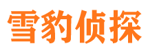 肥城市私家侦探